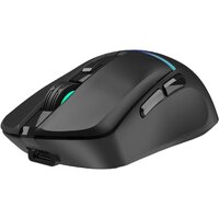 Игровая мышь Оклик 775GW (черный)