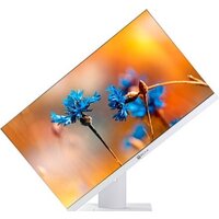 Моноблок ТЕСЛА P24WP 2116500