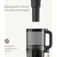 Соковыжималка Tuvio TJ04PM