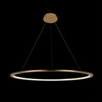 Подвесная люстра LOFT IT Ring 10014XL
