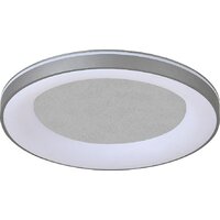 Припотолочная люстра Escada 628/A LED (серебристый)