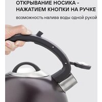 Чайник со свистком Rondell Tierno RDS‑1900