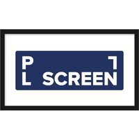 Проекционный экран PL Vista ALP-SSF120H