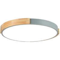 Светильник-тарелка Evoluce Delia SLE201372-01