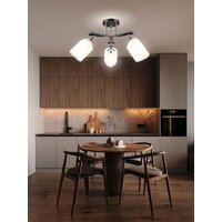 Припотолочная люстра Aitin Pro НПБ 02-3x60-101 N5959/3 (кофе/хром)