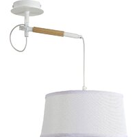 Подвесная люстра F-Promo Eureka 3005-1P