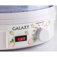 Сушилка для овощей и фруктов Galaxy Line GL2633