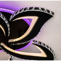 Припотолочная люстра LED4U L2839-5 BK