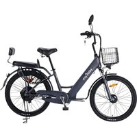 Электровелосипед MyWay Truck 500 24 (графит)