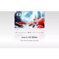 Телевизор Evo TV 43 White TD0051750RU