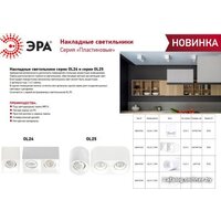 Спот ЭРА OL24-1 Б0054381