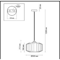 Подвесная люстра Odeon Light Binga 4783/1