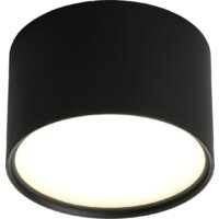 Спот Omnilux OML-100919-06