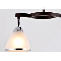 Люстра средней высоты Ambrella light TR3111/2 DCF/CH (темный кофе/хром)