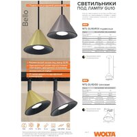 Подвесная люстра Wolta WSL-GU10/P08G