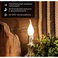 Светодиодная лампочка Rexant Свеча на ветру CN37 9.5Вт E14 915Лм 4000K нейтральный свет 604-114