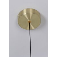 Подвесная люстра Favourite Luna 4370-1P