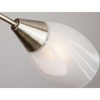 Припотолочная люстра Евросвет Virginia 30100/3 (бронзовый)