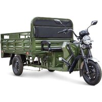Грузовой электроскутер Rutrike D4 NEXT 1800 60V 1200W (зеленый)