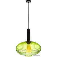 Подвесная люстра LOFT IT IRIS 2072-C+BL
