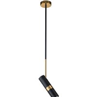 Подвесная люстра Favourite Light Point 2997-1P