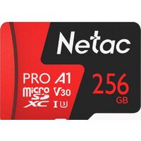 Карта памяти Netac P500 Extreme Pro 256GB NT02P500PRO-256G-S