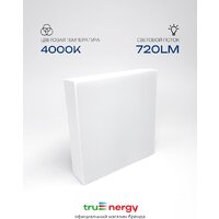 Припотолочная люстра TruEnergy 11166