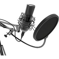 Проводной микрофон Ritmix RDM-180