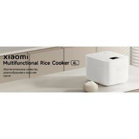 Мультиварка Xiaomi Multifunctional Rice Cooker 4L MFB090-1 (евровилка)