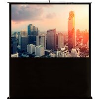 Проекционный экран CACTUS FloorCompactExpert 102x180 CS-PSFLCE-180X102