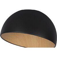 Люстра средней высоты LOFT IT Egg 10197/350 (черный)
