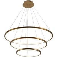 Подвесная люстра LOFT IT Ring 10015/3