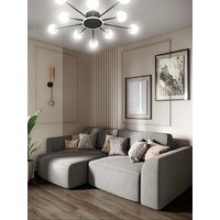 Припотолочная люстра Aitin Pro L73058/10C (черный/хром)