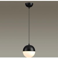 Подвесная люстра Odeon Light Pinga 4958/1