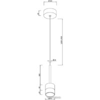 Подвесная люстра Moderli Self V10854-PL