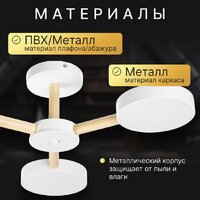 Припотолочная люстра Sundays Home 240924-22 5849