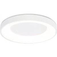 Припотолочная люстра Ambrella light Orbital FZ1401 WH (белый)