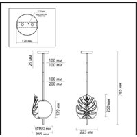 Подвесная люстра Odeon Light Jungle 4864/1