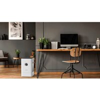 Климатический комплекс Boneco Air-O-Swiss H300