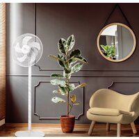 Вентилятор Electrolux EFF-1005