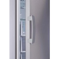 Морозильник Indesit DFZ 5175 G