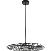 Подвесная люстра Lumion Camomile 8379/10L