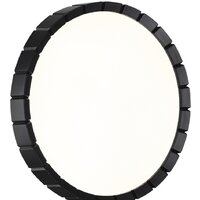 Припотолочная люстра Sonex Pale 7649/CL