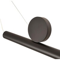 Подвесная люстра Arte Lamp Beemim A2090SP-1BK