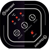 Накопительный электрический водонагреватель Thermex IF 100 (smart)