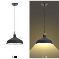 Подвесная люстра ЭРА PL2 BK/RC Б0037413