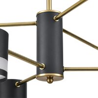 Люстра средней высоты Lumion Lanika 8240/6C