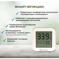 Термогигрометр Evolution HTB1