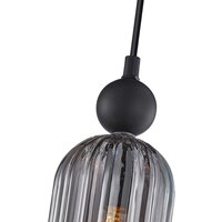 Подвесная люстра F-Promo 4366-1P