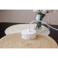 Подвесная люстра Home Light Астерия A043-0-W (белый)